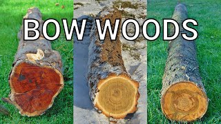 What Wood to Use for Bow Making