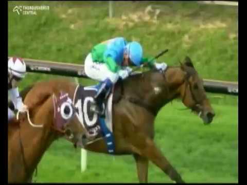 2016 Ascot Races WA Kingston Town Classic D Whyte SECOND