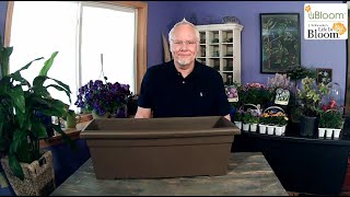 Cutting Container Garden with J Schwanke ENGLISH GARDENS