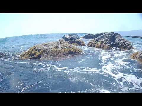 Ялта море 09.08.2017