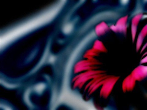 DJ Ms- The especial Juanna