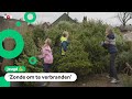 Wat gebeurt er met de 2,5 miljoen Nederlandse kerstbomen?