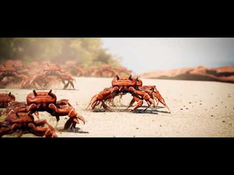 yet just another normal crab rave