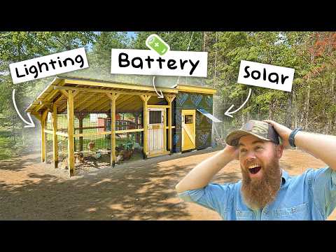 This Simple Solar Hack Changed Our Chicken Coop Forever
