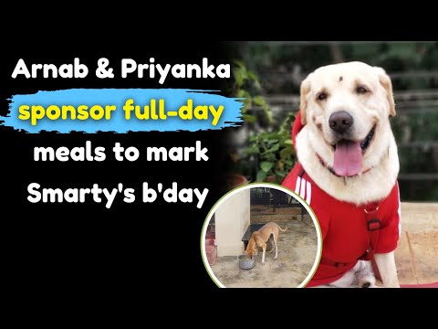 Arnab & Priyanka sponsor full-day meals to mark Smarty's birthday