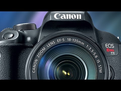 Nikon D3300 to Canon T6i - What to Buy for Video? (or Canon T7i or Canon 80D?)