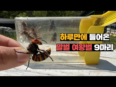 아이콘