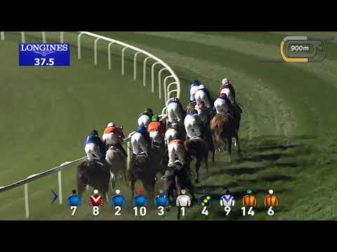 Race 6 District One Elegance Stretch Cup