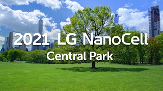 Video 0 of Product LG NanoCell 90 / 91 4K TV 2021 (Nano90 / Nano91)