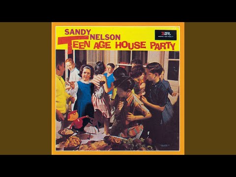 Video thumbnail for Teenage House Party