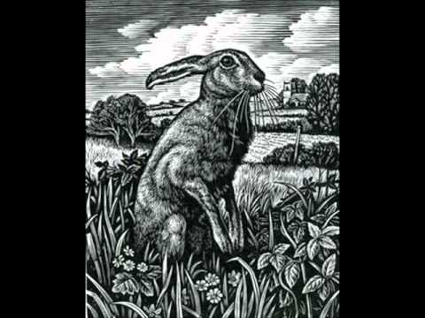 The Dave Howard Singers - I Am A Bunny
