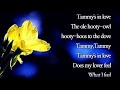Tammy -Connie Francis  (with Lyrics)