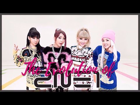 The Evolution of 2NE1