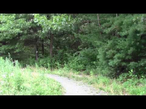 Bay Circuit Trail : Wayland MA Oxbow Meadow.