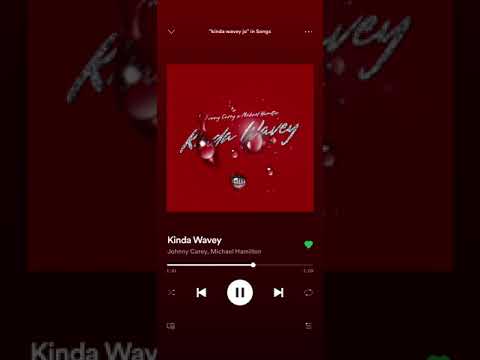 Johnny Carey x Micheal Hamilton - Kinda Wavey (Audio Track)
