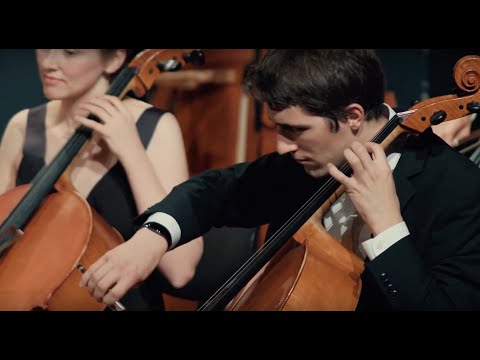 Mancini: Pink Panther (arr. for string orchestra)