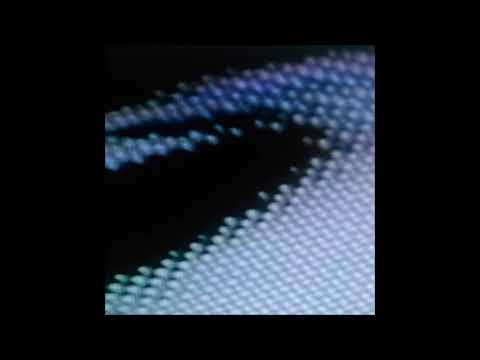 02. evryn - chromosome