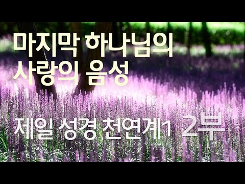 제일 성경 천연계1 2부