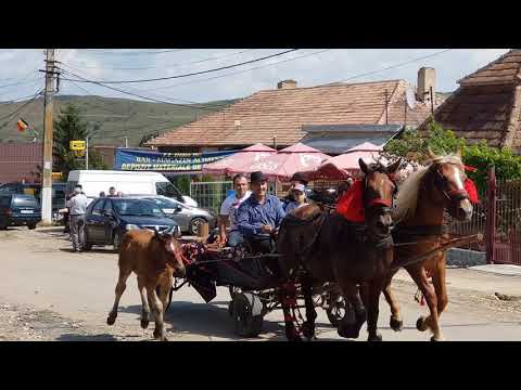 Jocul satului sau "Fiii satului" Frata ,jud. Cluj 🤔 2019
