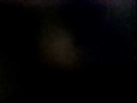 manele live de la braesti botosani