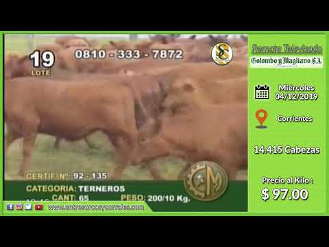 04-12-19 - Venta de Machos - Remate Televisado de Colombo y Magliano S.A. - Corrientes