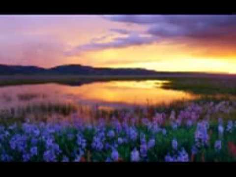 Dr  Gurnam Singh Jee Patiala   Bin Teil Deeva Kyu Jale