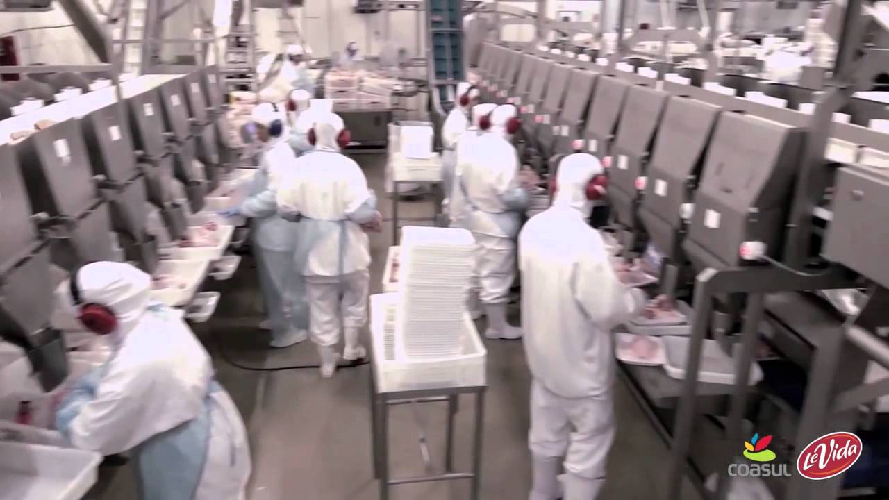 Apresentação Abatedouro Coasul - 2015