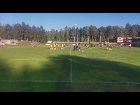 KuPS 2014 keltainen - Mikkelin Pallokissat