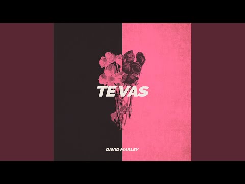 Te Vas