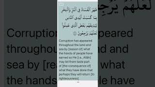 Download lagu Quran - Surah Ar-Rum [30] Verse 41 Mahmoud Khalil Al-Hussary #quran #hussary #shorts #islamic #viral mp3