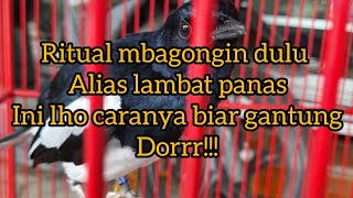 Download lagu KACER LAMBAT PANAS mp3