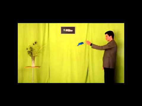 Reelectric de Cerebro Magico