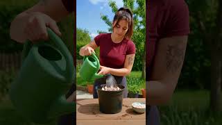 Download lagu I Planted Garlic and Got This Huge Harvest! mp3 Download lagu I Planted Garlic and Got This Huge Harvest! mp3