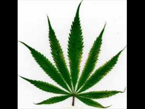 Miky Ft. Nicy  Weed [HD]