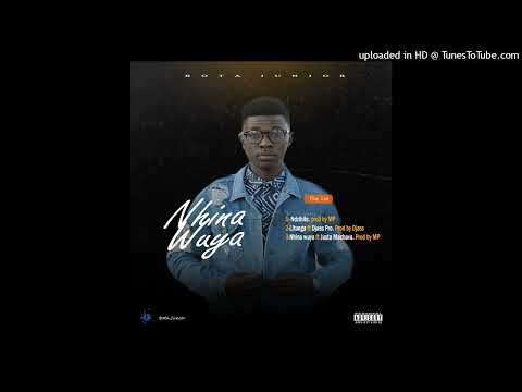 Bota Junior ft Djass Pro - Litunga (Official Audio)