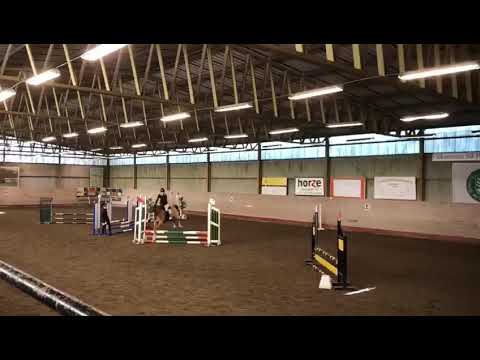 Bonne Caspian dressagepony start to be jumper!!!