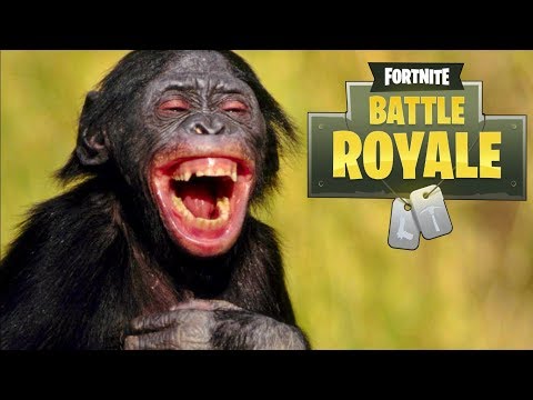 WTF THIS GAME SO WTF AHAH ! THIS IS THE ZOO OF FORTNITE