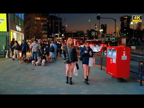4K HDR Japan travel 2026 | Walk in Harajuku（原宿）Tokyo  Japan | City ambience Nature for relaxing
