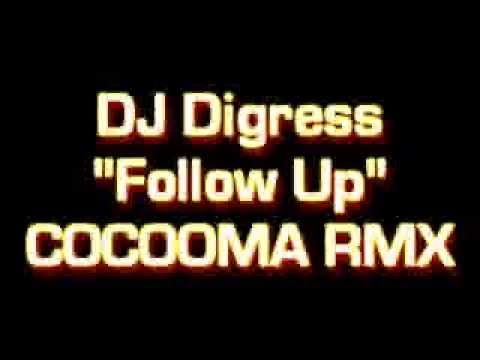 DJ Digress 