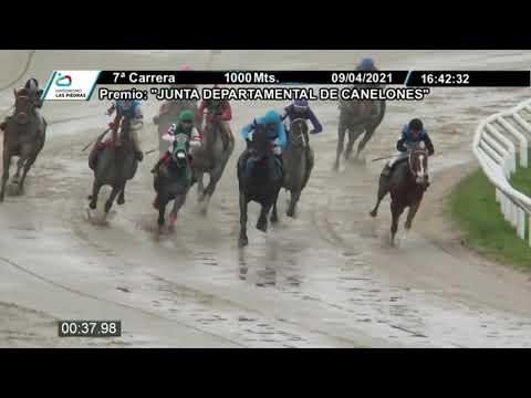 210409 c07 - PREFERENCIAL "JUNTA DEPARTAMENTAL DE CANELONES" - BRIANZO (ARG) - HIPODROMO LAS PIEDRAS