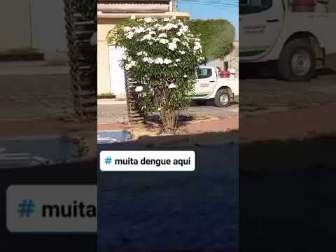 Carro Fumacê contra a dengue em Nova Floresta - Jaguaribe - CE