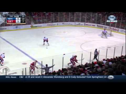 2014 12 19 New York Islanders vs. Detroit Red Wings