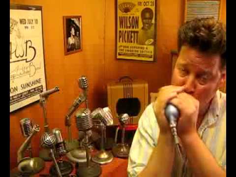 Shure 707A Bullet Harp Mic Custom Paint and Chrome, Volume Control