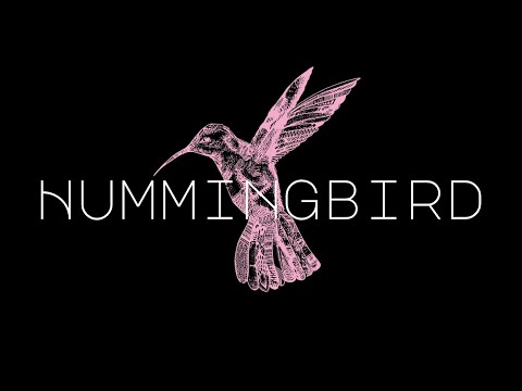 Hummingbird - A Short Film