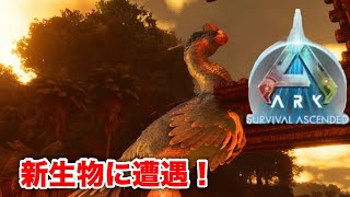 【ゆっくり実況】ARK Survival Ascended PS5　新生物発見の件 　　#18