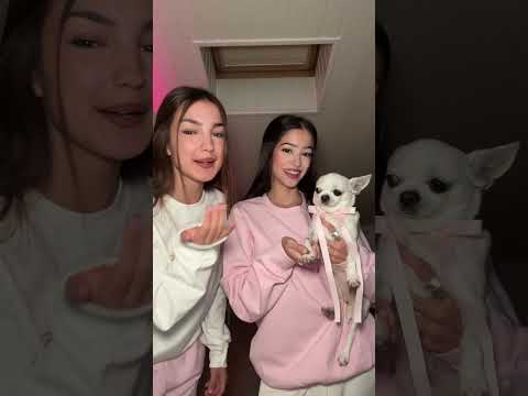 Hace tiempo que dejaste de ser mi amiga…