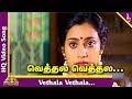 Vallal Tamil Movie Songs Vethala Vethala Video Song Sathyaraj Meena Deva Pyramid Music
