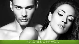 Como Conseguir Una Mentalidad De Macho Alfa Para Conquistar Y Tener Exito Mujeres