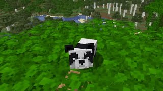 How to Spawn a Baby Panda in Minecraft (Quick Tutorial)