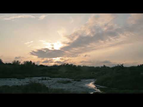 Carmargue |   Mas de pioch